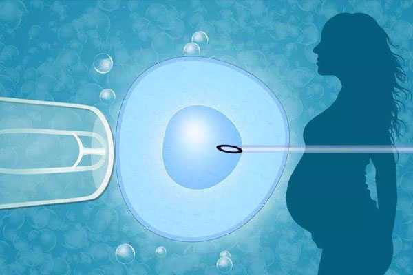 三代生子怎么联系,试管婴儿移植两个胚胎比一个胚胎成功率高吗-试管受精后胚